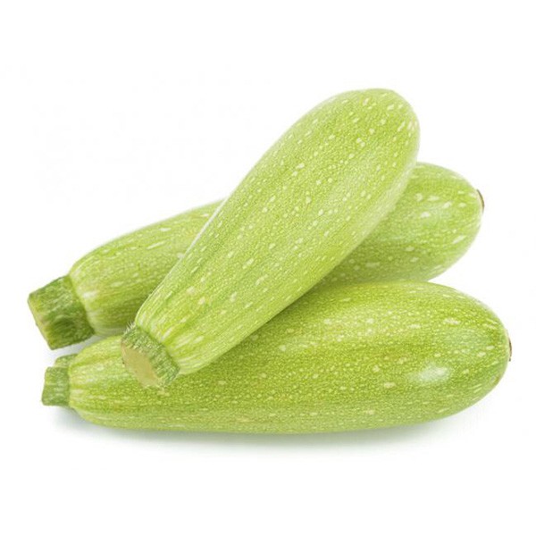 CALABACIN BLANCO