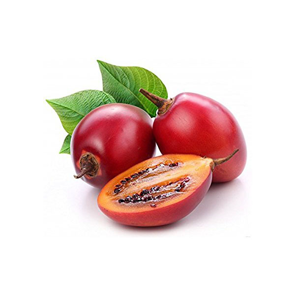 TOMATE DE ARBOL